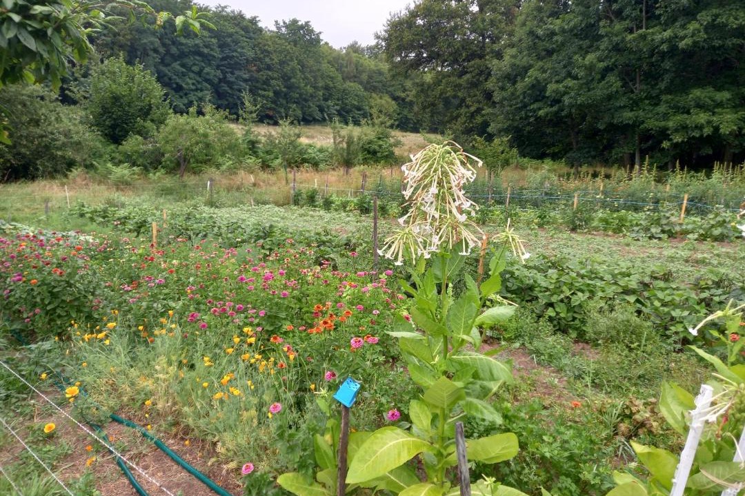 Photo of Others in Cheronnac