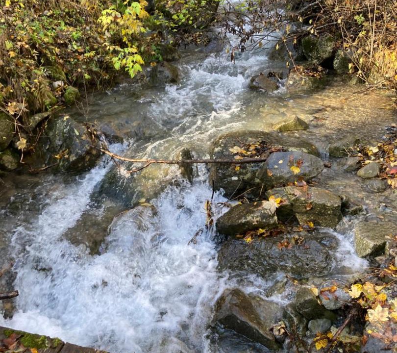 Photo of Others in Secheras