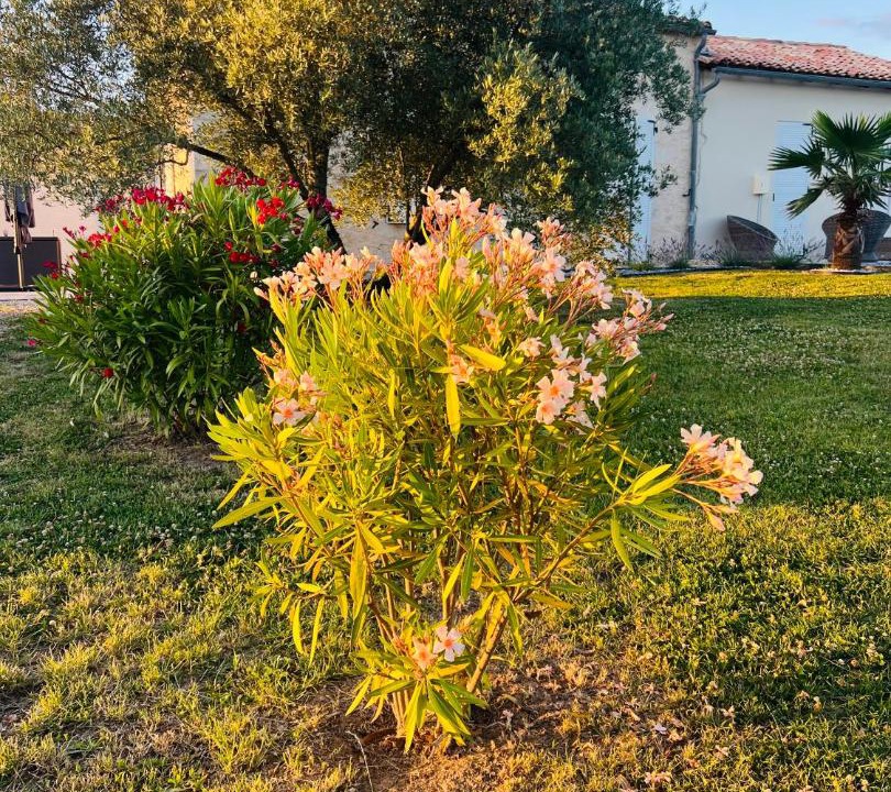 Photo of Outdoor in Duras