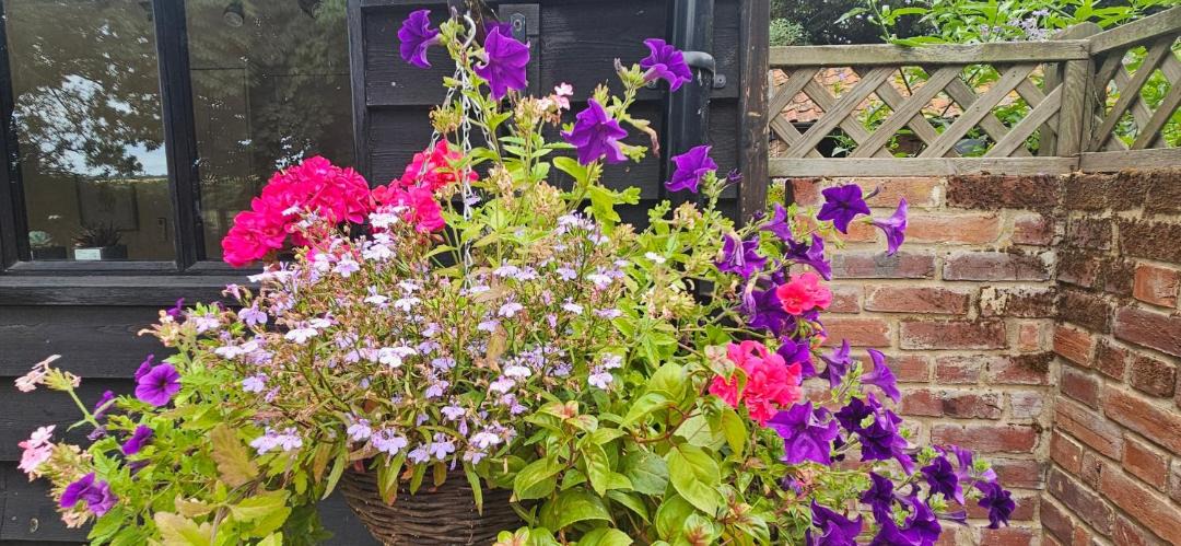 Photo of Others in Stowmarket