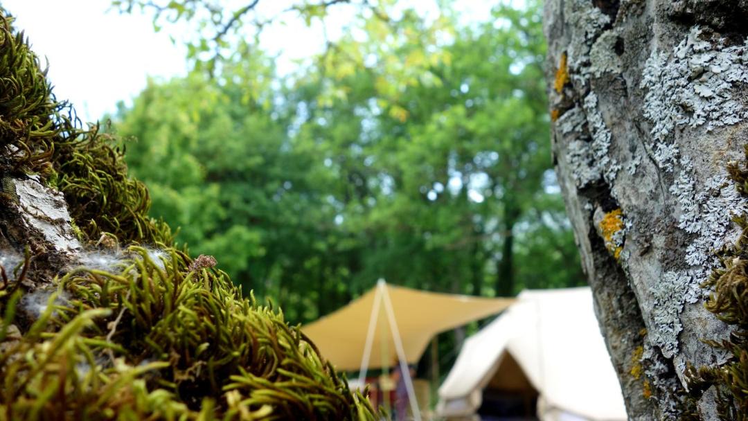 Photo of Others in Recoubeau-Jansac