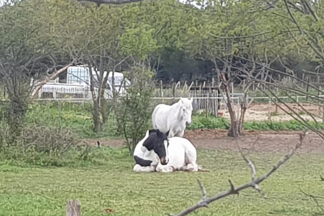 Photo of Others in Montpellier