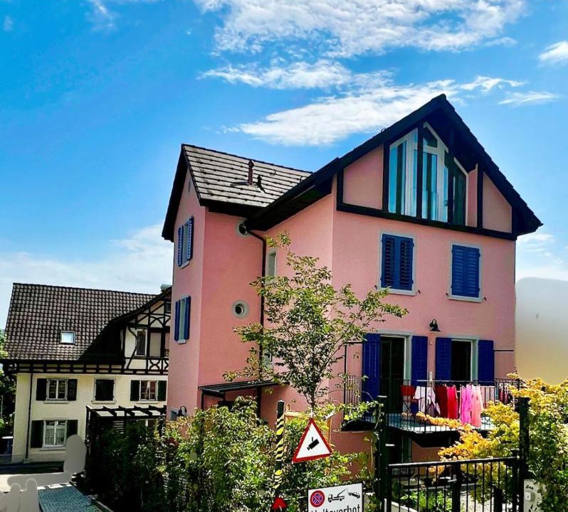 Photo of Others in Horgen District