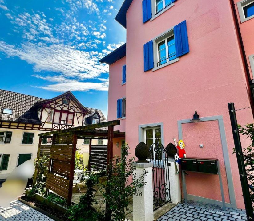 Photo of Others in Horgen District