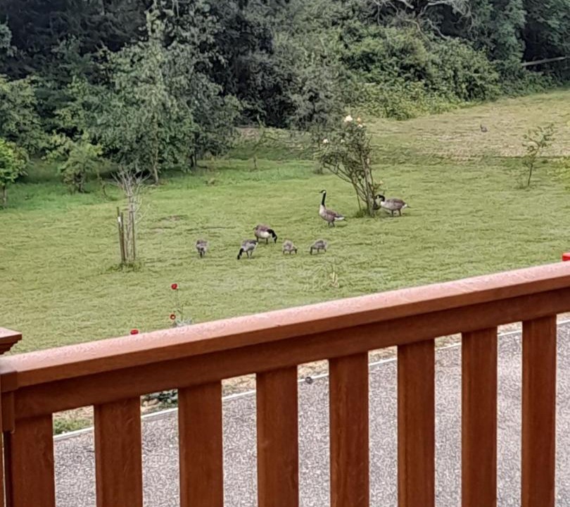 Photo of Others in Ryde