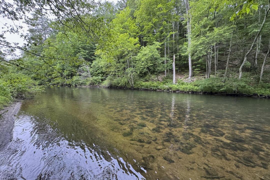 Photo of Others in Arlington