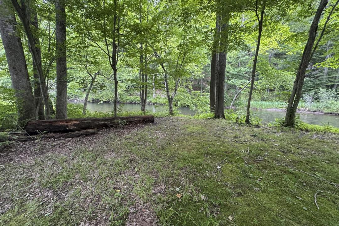 Photo of Others in Arlington