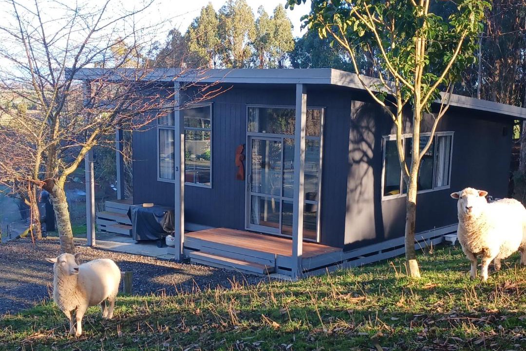 Photo of Others in Feilding