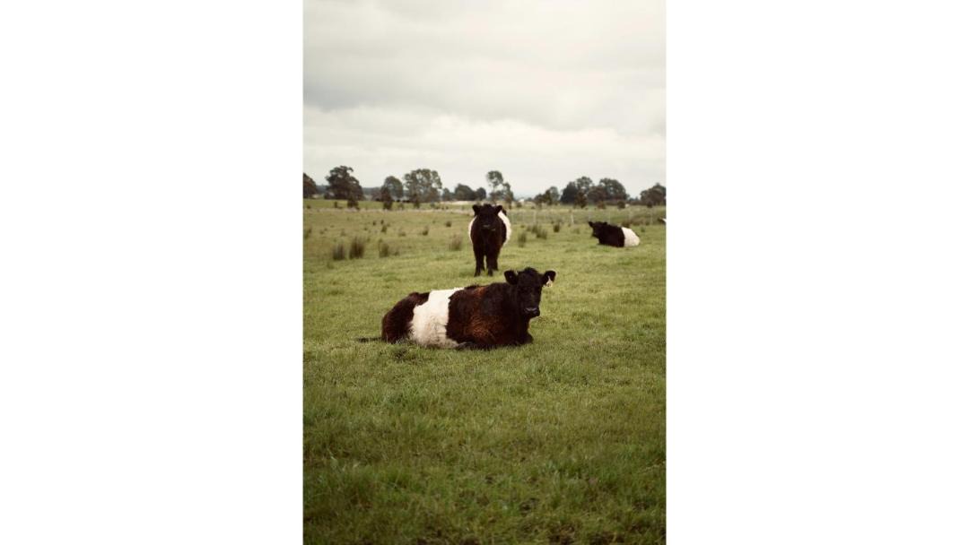 Photo of Others in Smeaton