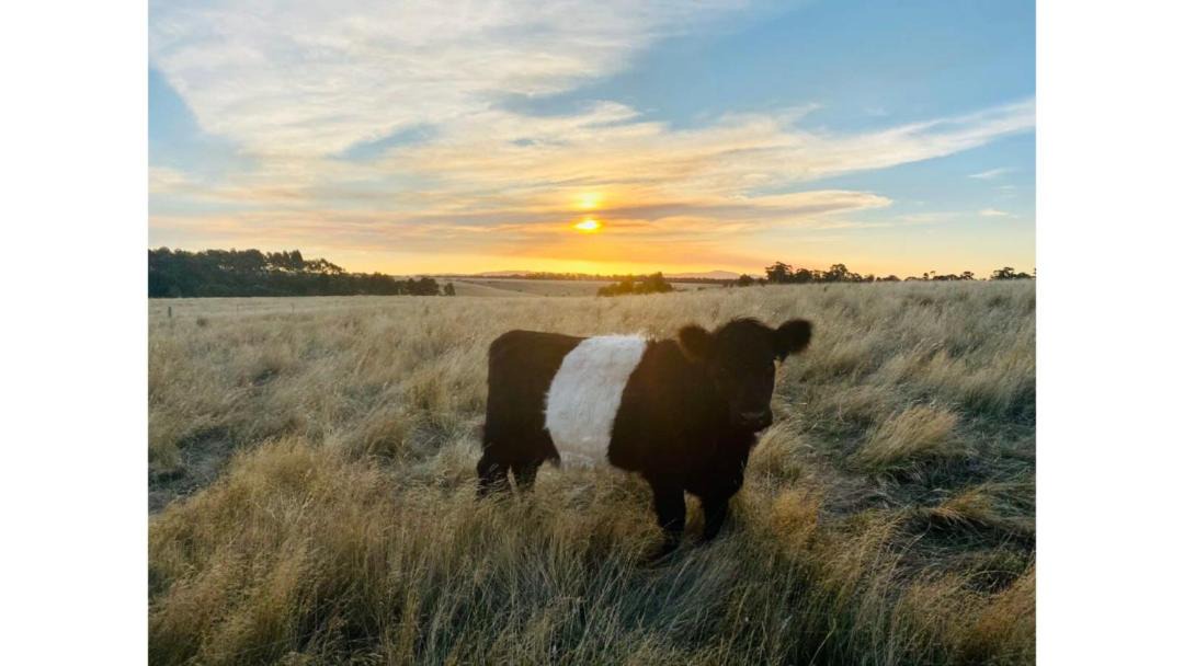 Photo of Others in Smeaton