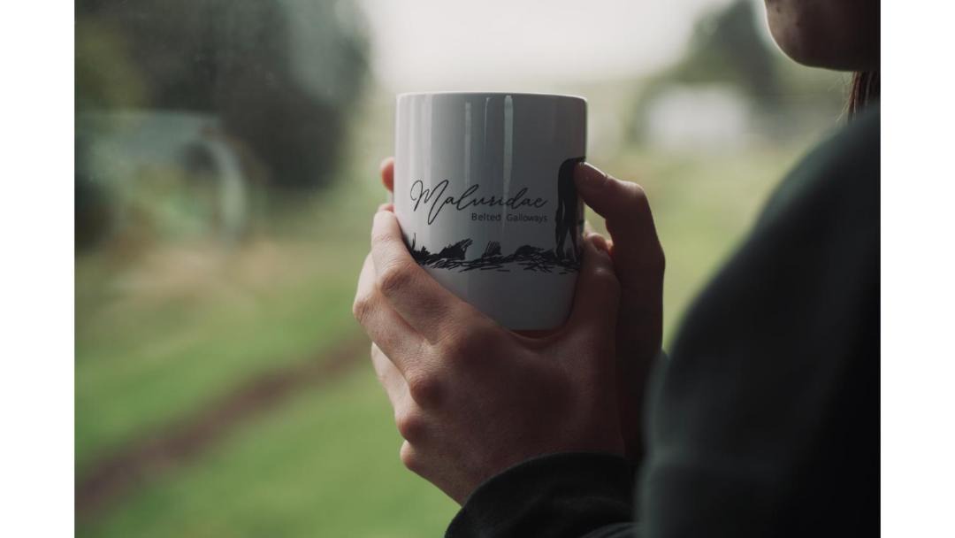 Photo of Others in Smeaton