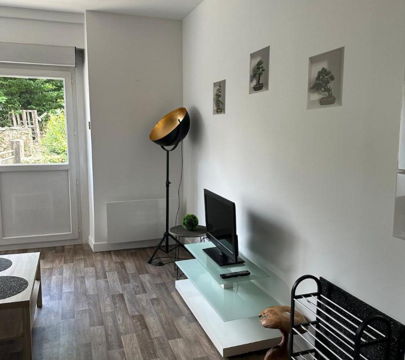 Photo of Others in Tulle