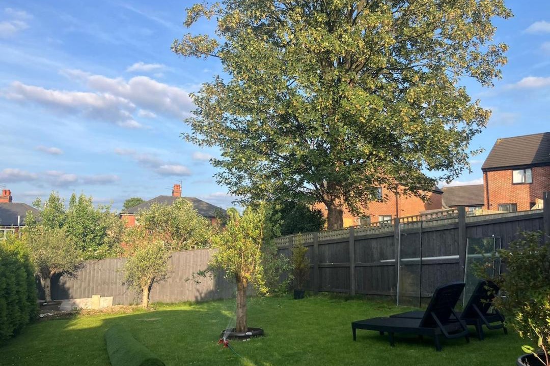 Photo of Others in Sheffield