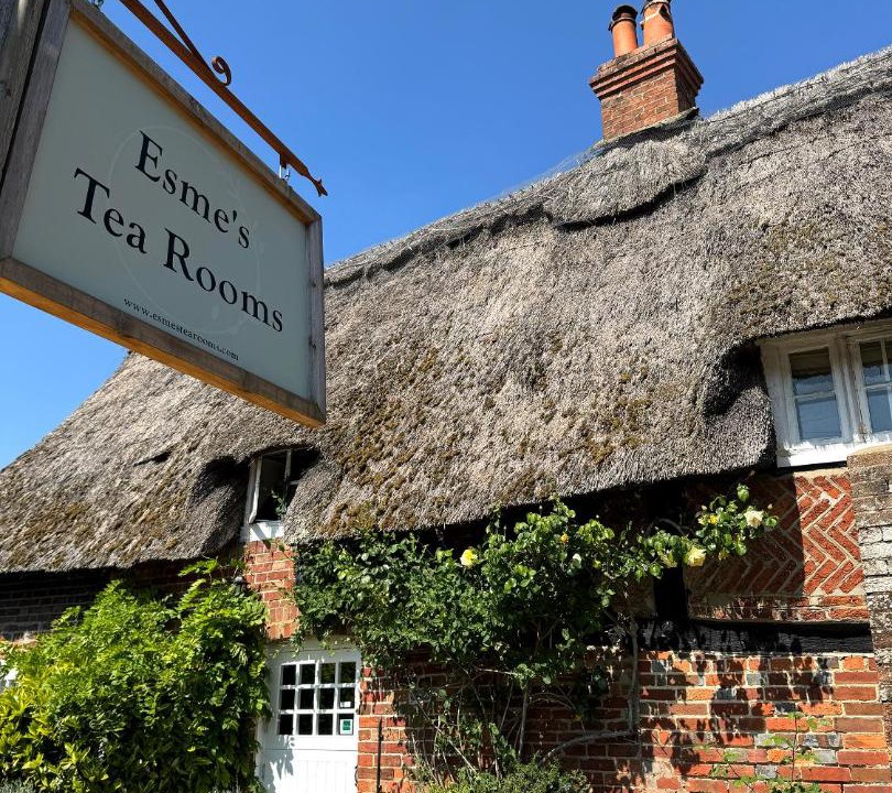 Photo of Others in New Forest District