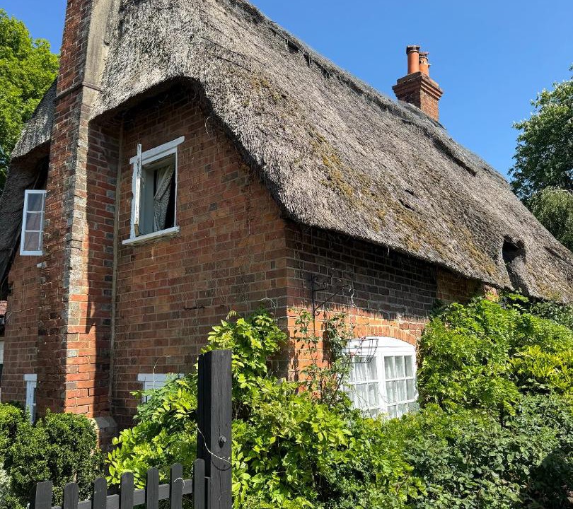 Photo of Others in New Forest District