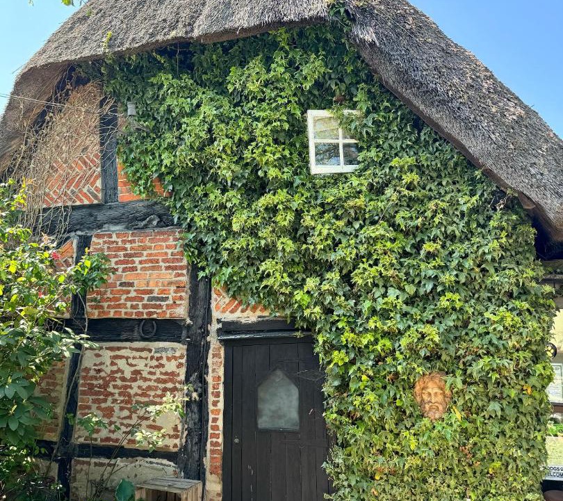 Photo of Others in New Forest District