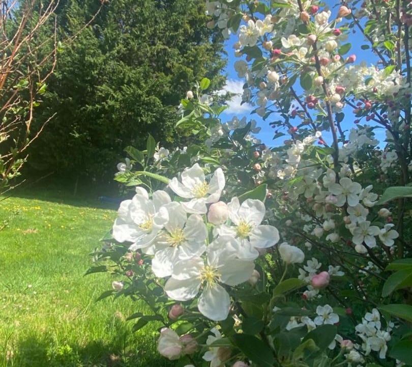 Photo of Outdoor in Champagnac-la-Riviere