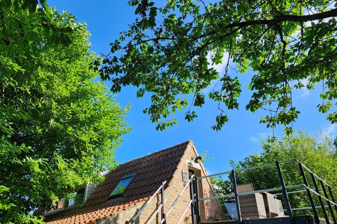 Photo of Others in Louvil