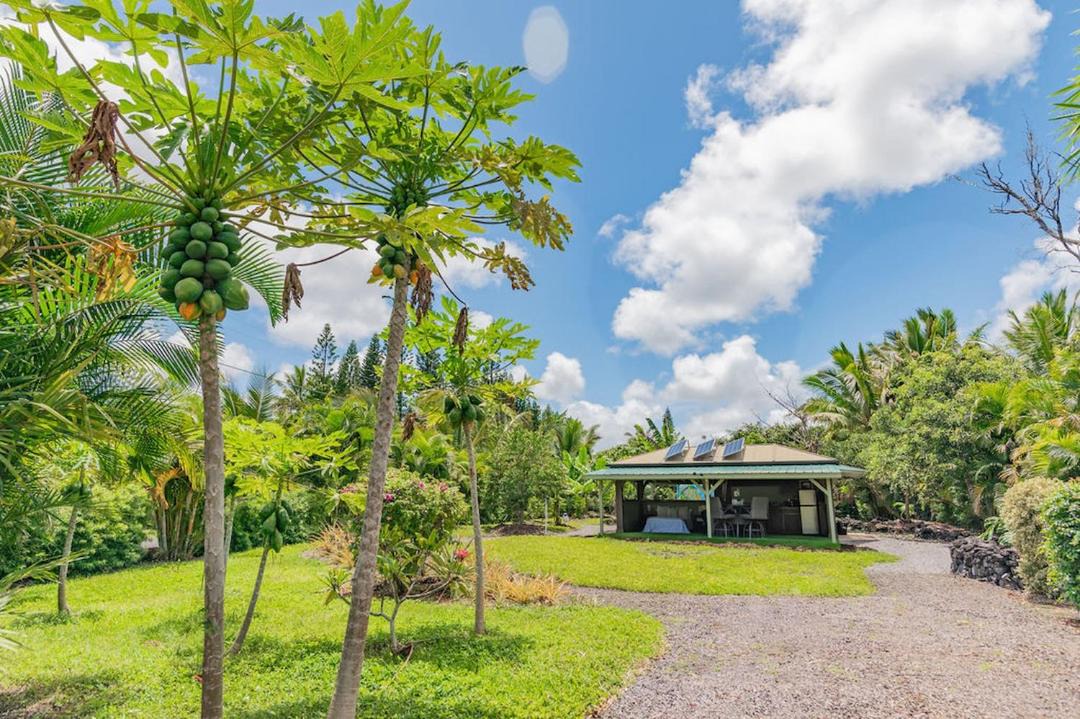 Photo of Others in Kehena