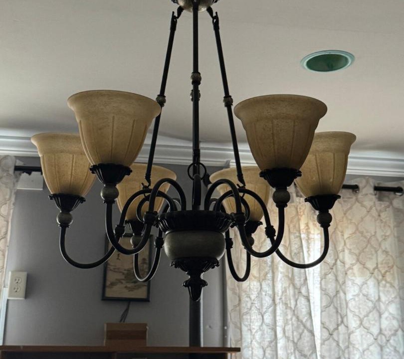 Photo of Others in Schenectady