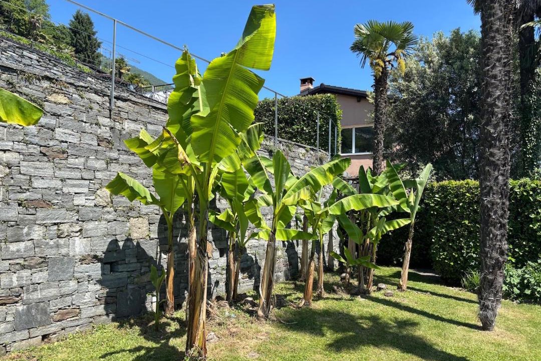 Photo of Outdoor in Brissago