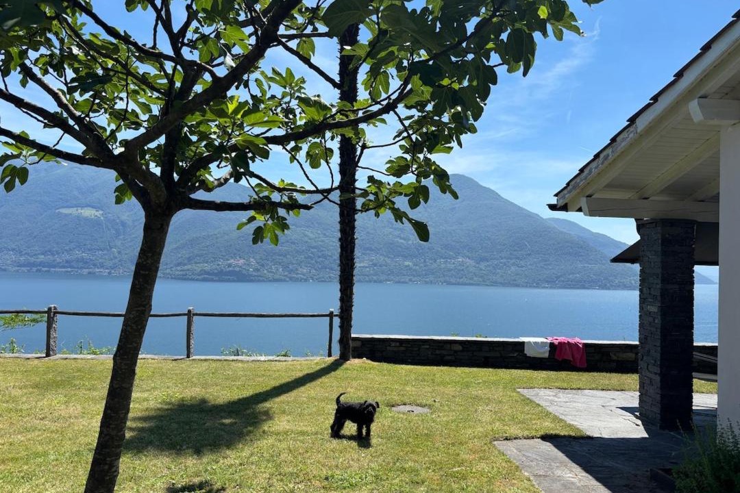 Photo of Others in Brissago