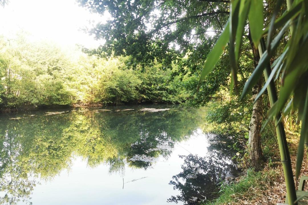 Photo of Others in Saint-Maixent-l'Ecole