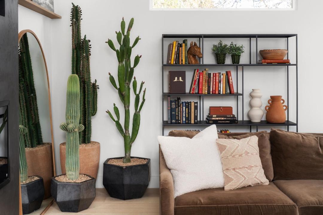 Photo of Livingroom in South Lamar