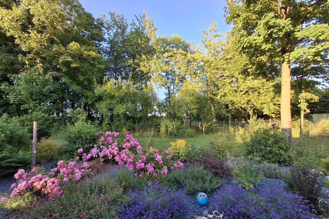 Photo of Outdoor in Aubreville