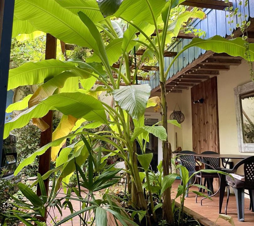 Photo of Others in Rouvenac