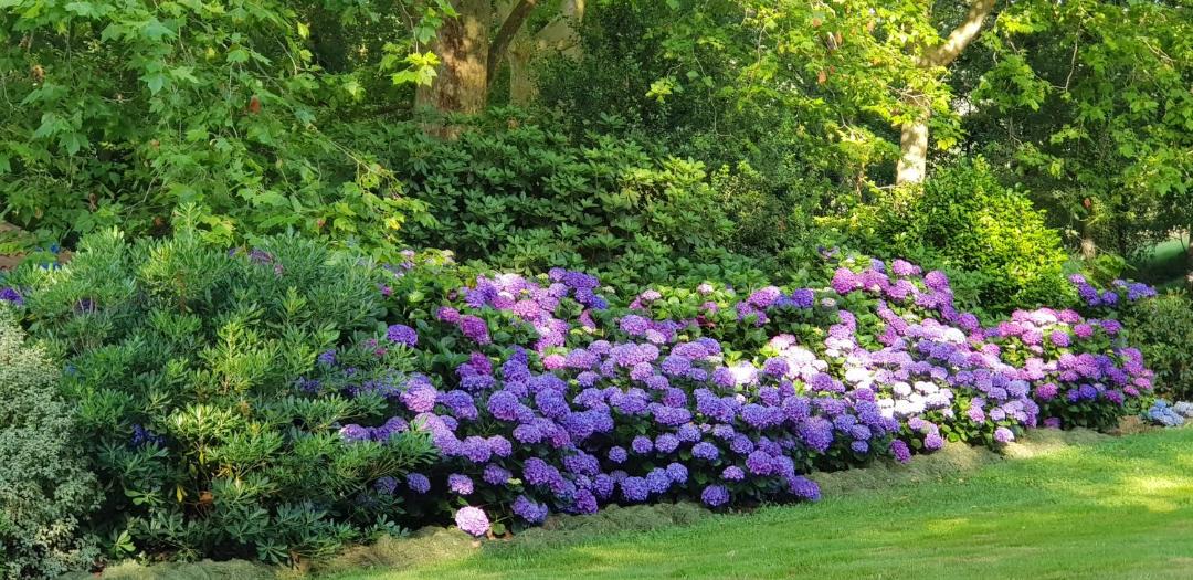 Photo of Others in Saint-Pee-sur-Nivelle