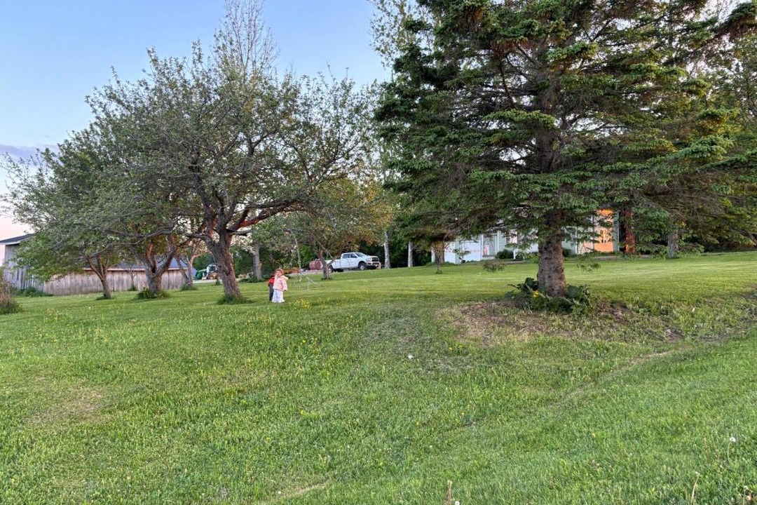 Photo of Others in Aroostook