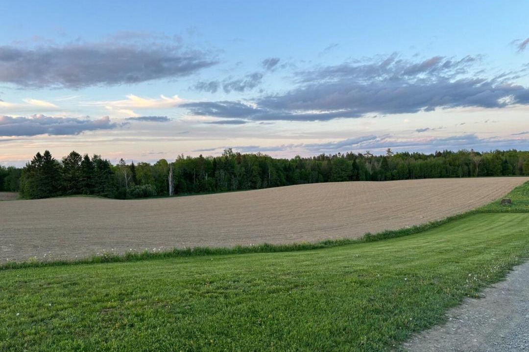 Photo of Others in Aroostook