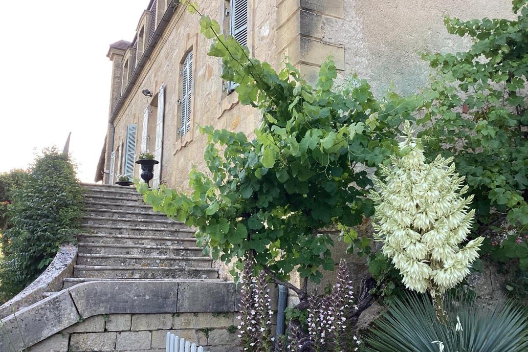 Photo of Others in Vezac