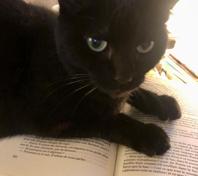 Photo of Others in Bourgheim