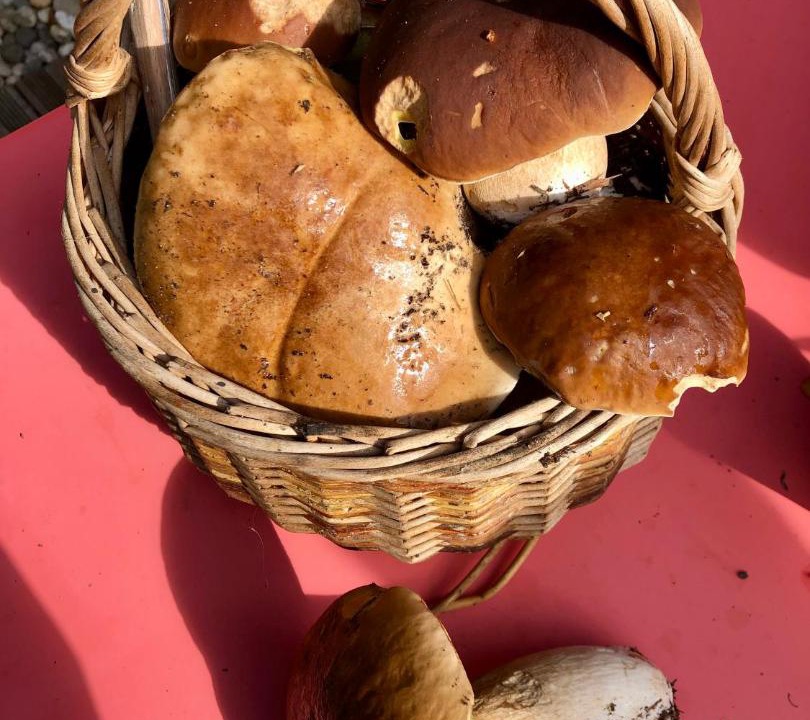 Photo of Outdoor in Bourgheim