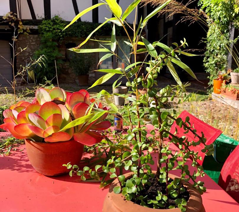 Photo of Others in Bourgheim