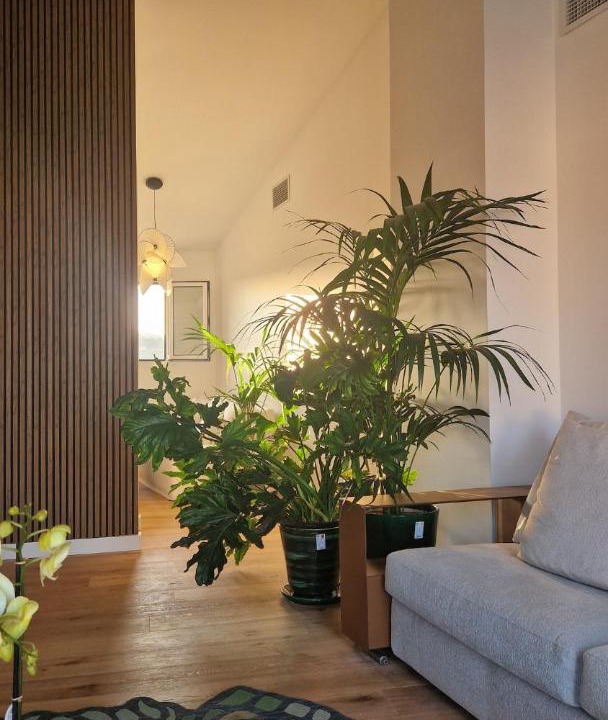 Photo of Livingroom in Port Grimaud