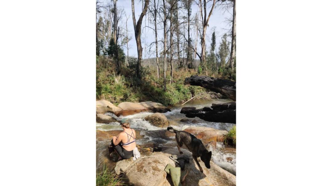 Photo of Others in Buchan