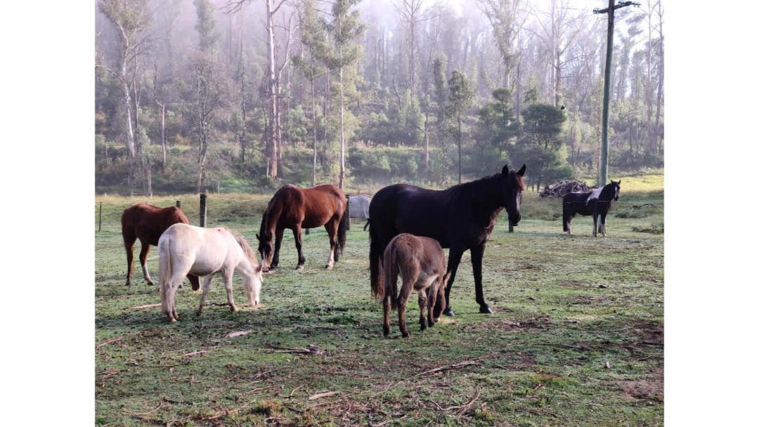 Photo of Others in Buchan