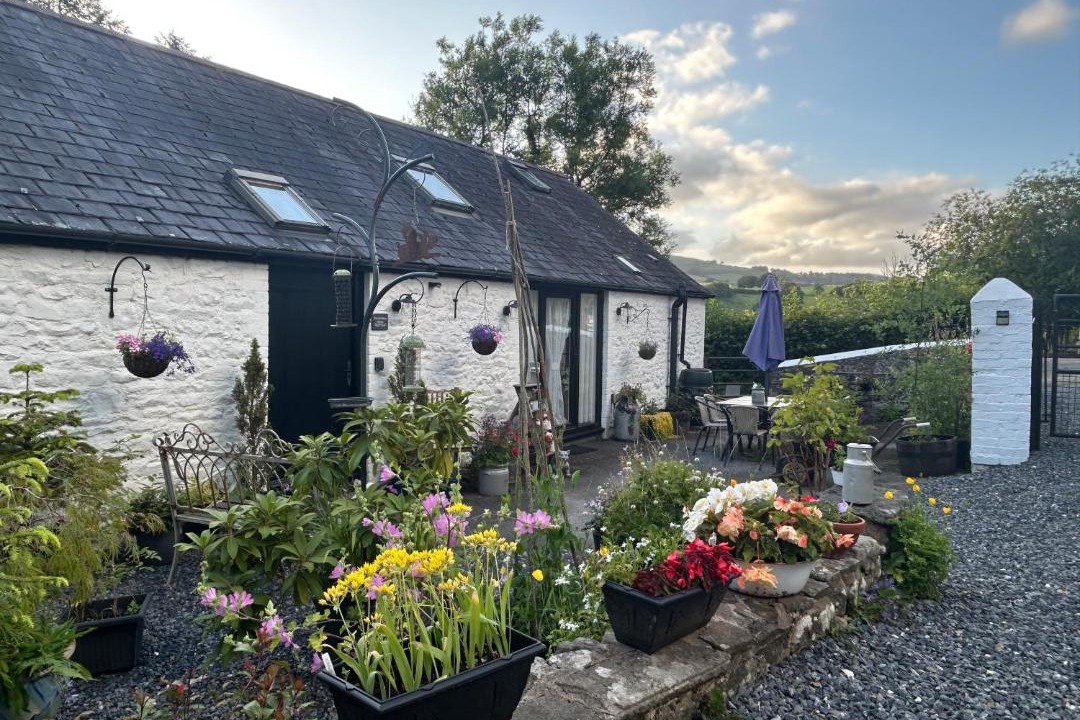 Photo of Others in Llandovery