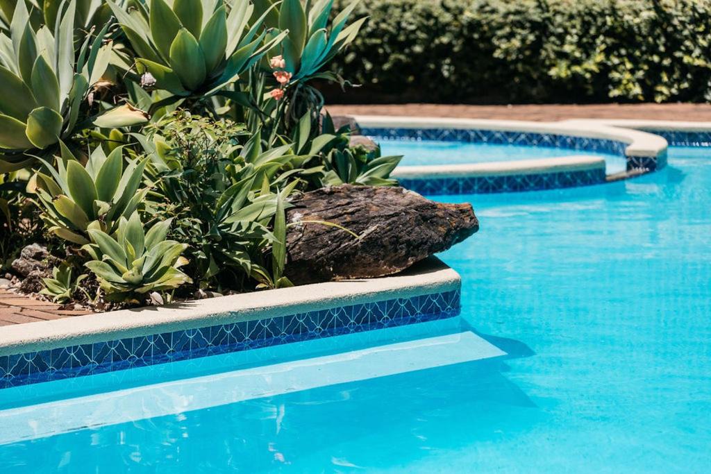 Photo of Others in Terrey Hills