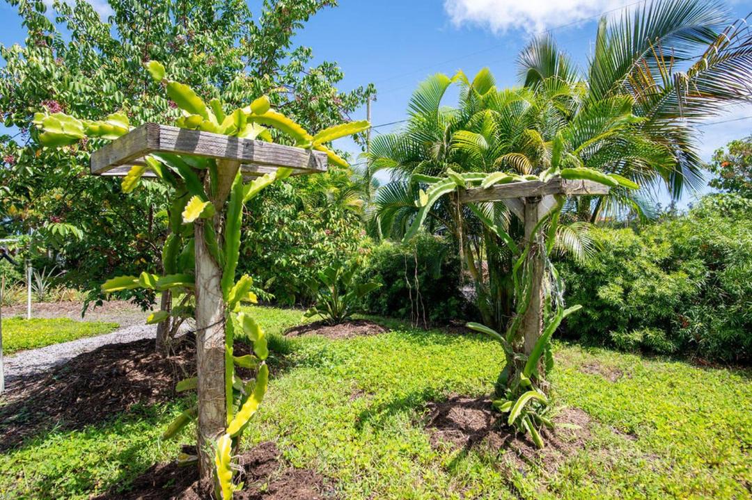 Photo of Others in Kehena