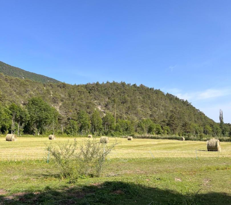 Photo of Others in Veynes