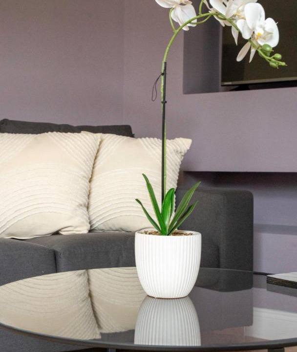 Photo of Livingroom in Rosyth