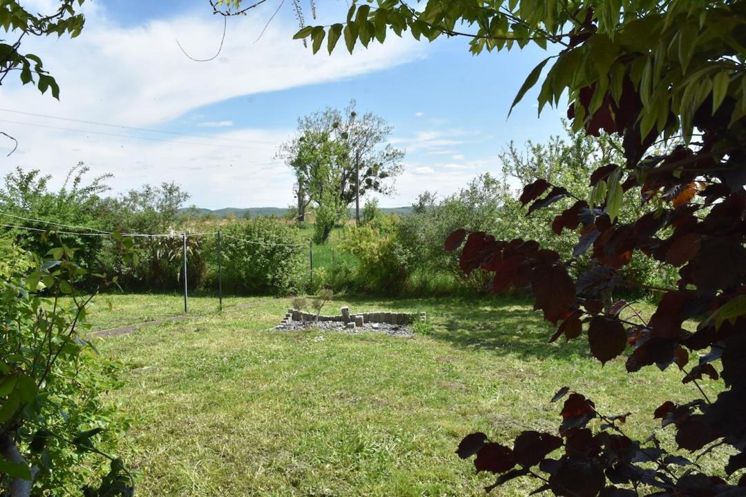 Photo of Others in Thionville