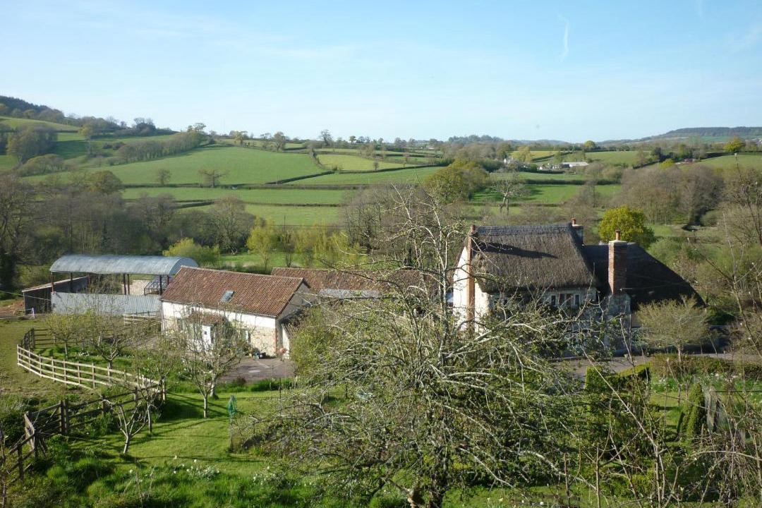 Photo of Others in Colyton