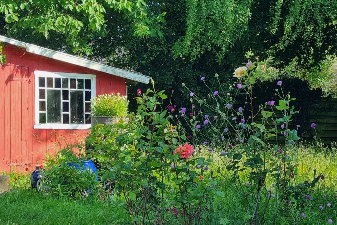 Photo of Others in Stubbekobing