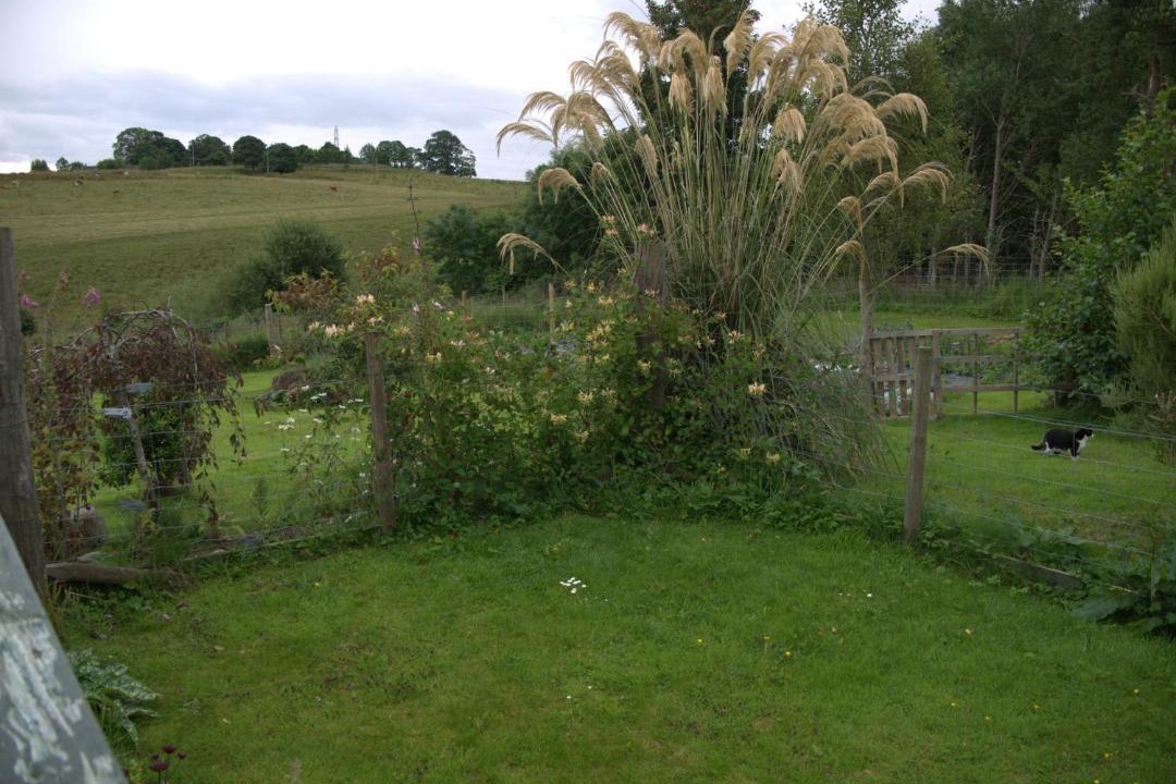 Photo of Others in Marybank