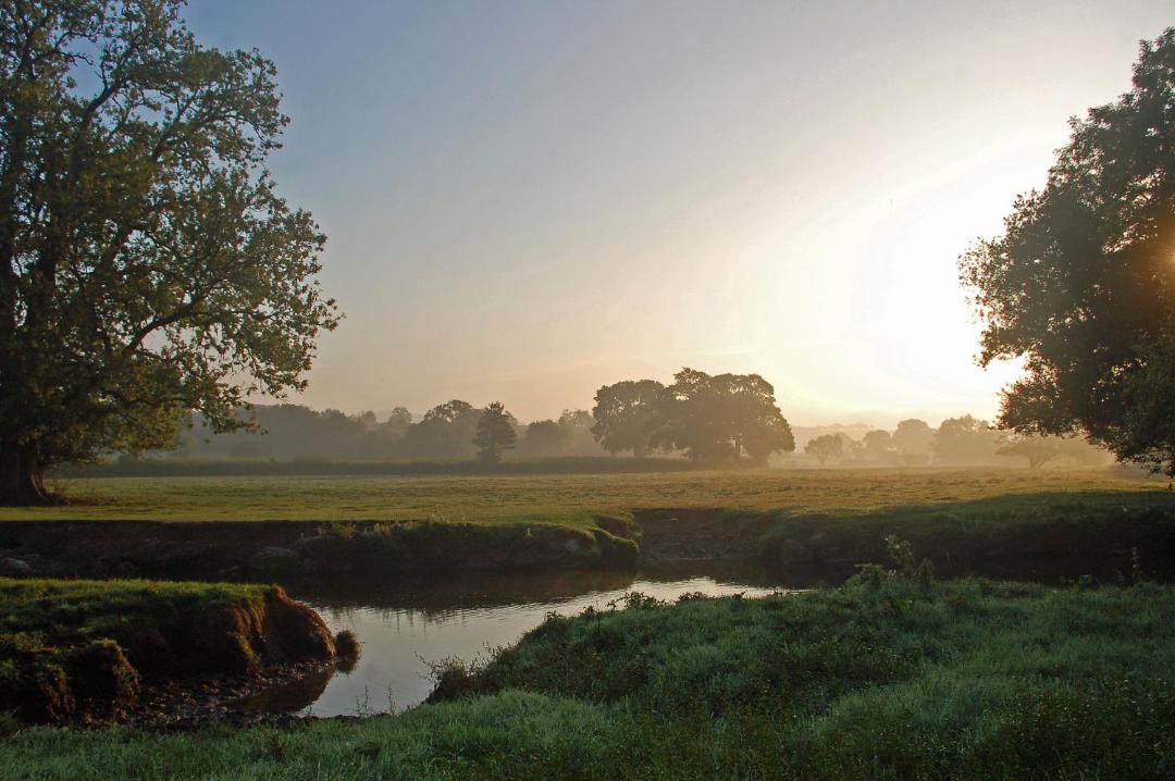 Photo of Others in Colyton